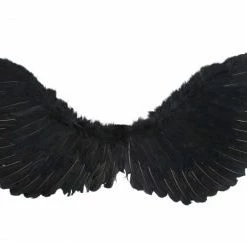 TomFoolery Medium 70cm X 30cm Black Angel Wings