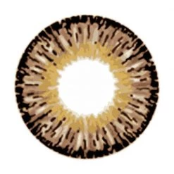 Dinna Contact Lenses Brown Freshtone Eye-to-Eye Circle Lenses