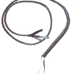 Tomfoolery Costume Accessories Brown Whip
