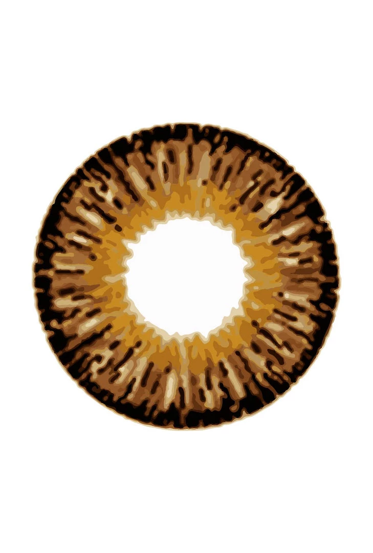 Dinna Chocolate Freshtone Eye-to-Eye Circle Lenses Contact Lenses 3 Dinna Chocolate Freshtone Eye-to-Eye Circle Lenses Contact Lenses