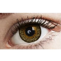 Dinna Chocolate Freshtone Eye-to-Eye Circle Lenses Contact Lenses