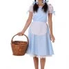 Unknown Wizard Of Oz Deluxe Dorothy Costume
