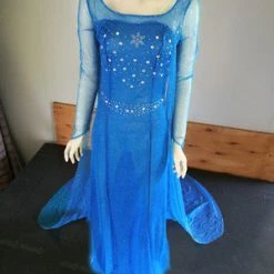 AnneCart Adults Frozen: Elsa Costume