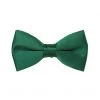 Annecart Neck Ties Dark Green Satin Pre-Tied Bow Tie