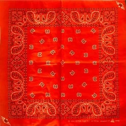 Hurly-Burly (b) Deep Orange Paisley Bandana