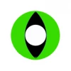 Hurly-Burly Party Lens #3 Green Cat Eye Lenses Contact Lenses