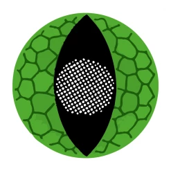 Party Lens #26 Green Snake Eye Contact Lenses