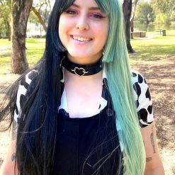 Bell's Wigs Deluxe Two Toned Long Black And Mint Green Wig Costume Accessories