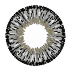 Dinna Contact Lenses Grey Freshtone Eye-to-Eye Circle Lenses