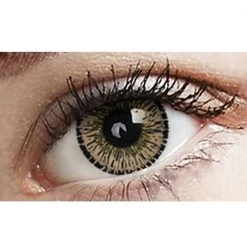 Dinna Hazel Freshtone Eye-to-Eye Circle Lenses Contact Lenses
