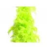 AnneCart Light Green Feather Boa Celebrations