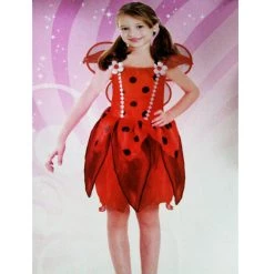 Malltop Ladybird Costume Children's And Infants