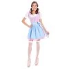 Hurly-Burly Celebrations Pink And Blue Checked Oktoberfest Dirndl