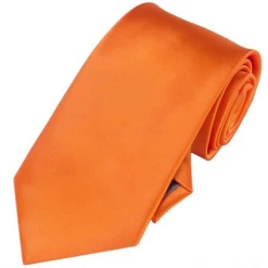 AnneCart Orange Satin Skinny Neck Tie