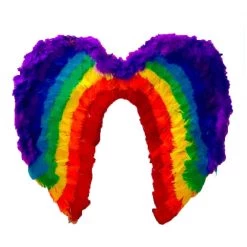 Interalia Rainbow Feather Wings
