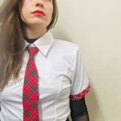 Hurly-Burly Neck Ties Red Plaid Zip Tie