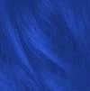Stargazer - Royal Blue Semi Permanent Hair Dye