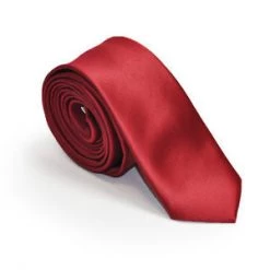 Annecart Neck Ties Deep Red Satin Skinny Neck Tie
