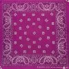Hurly-Burly (b) Bandanas Magenta Paisley Bandana