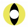 Party Lens #2 Yellow Cat Eye Contact Lenses